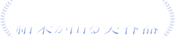 とにかく結果が出る美容器