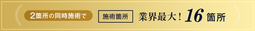 2箇所の同時施術で施術箇所業界最大16箇所