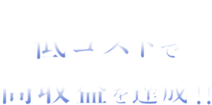 低コストで高収益を達成